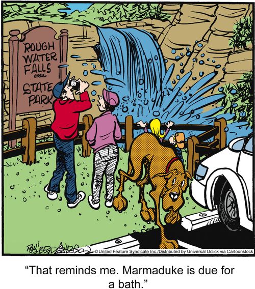 'That reminds me. Marmaduke is due for a bath.'
