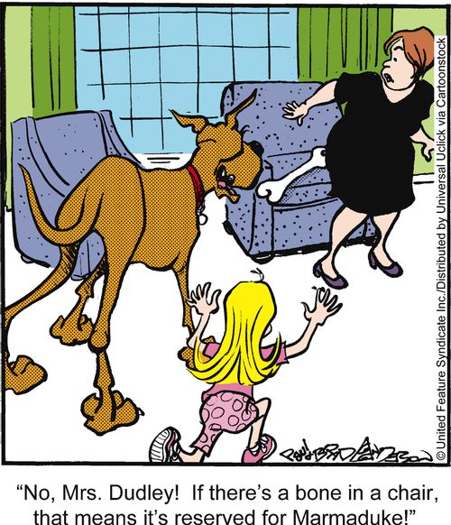 'No, Mrs. Dudley! If there's a bone in a chair, that means it's reserved for Marmaduke!'