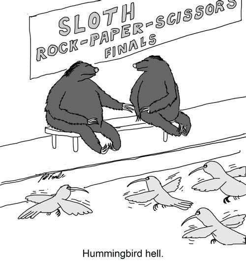 Hummingbird hell
