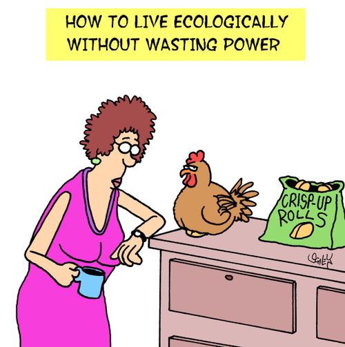 How to live ecologically without wasting power.
