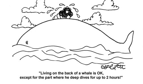 'Living on the back of a whale is OK, except for the part where he deep dives for up to 2 hours!'