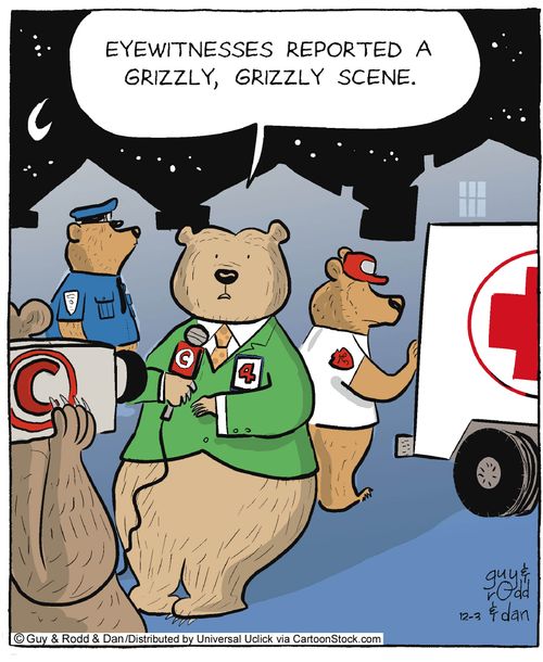 'Eyewitnesses reported a grizzly,grizzly scene.'