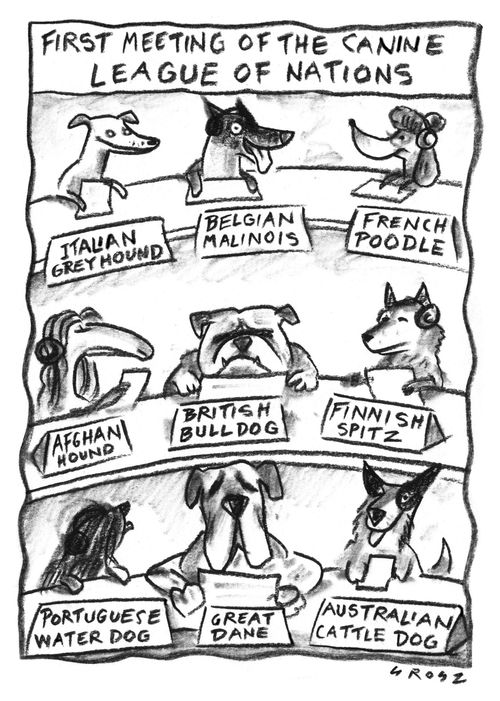 The Canine League of Nations
