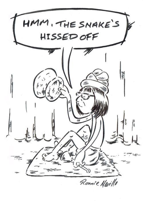 'Hmm, the snake's hissed off.'