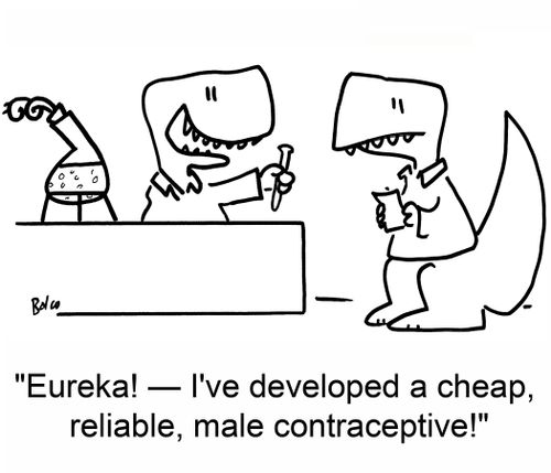 'Eureka! -- I've developed a cheap, reliable, male contraceptive!'
