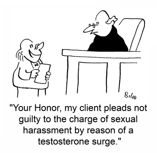 'Your Honor, my client pleads not guilt to the charge of sexual harassment by reason of a testosterone surge.'