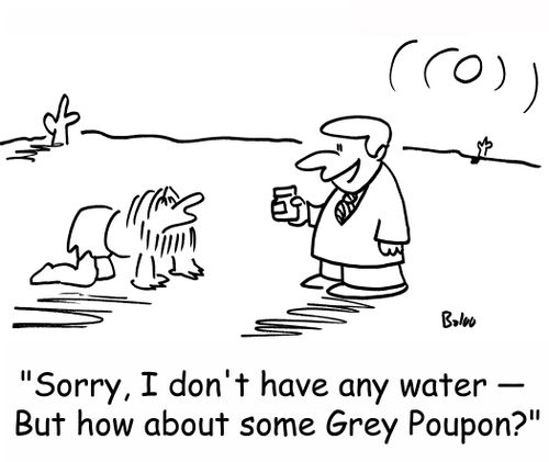 'Sorry, I don't have any water -- But how about some Grey Poupon?'