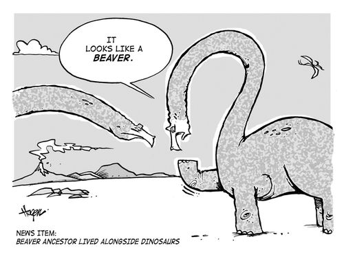 'It looks like a beaver.' - News Item: Beaver ancestor lived alongside dinosaurs.