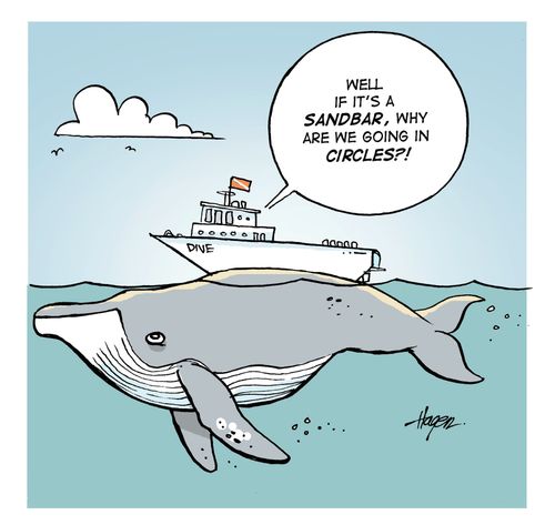 'Well if it's a sandbar, why are we going in circles?!'