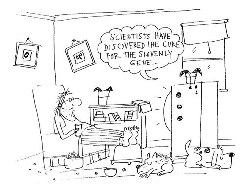 Scientists have discovered the cure for the slovenly gene....