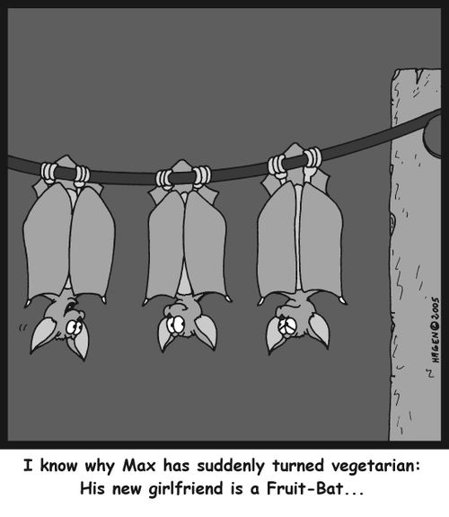 'I know why Max has suddenly turned vegetarian: His new girlfriend is a Fruit-Bat...'