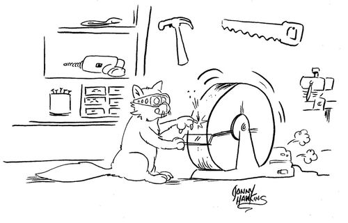 Cat sharpening claws on grindstone