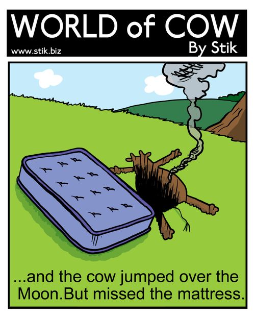 ...and the cow jumped over the Moon. But missed the mattress.