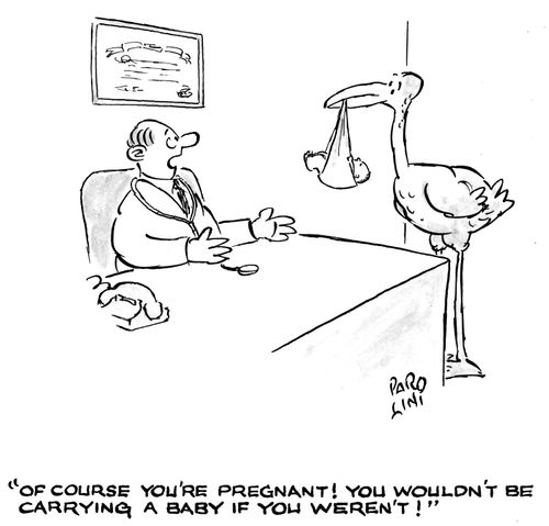 'Of course you're pregnant! You wouldn't be carrying a baby if you weren't!'