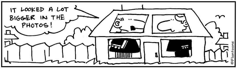 Tiny house. 'It looked a lot bigger in the photos.'