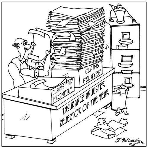 'Insurance Adjuster Rejector of the Year' 'Claims Delayed and Claims Paid Promptly'