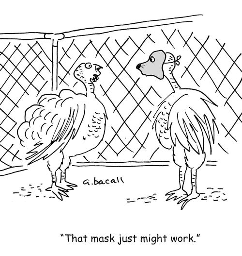 Turkey Disguise.