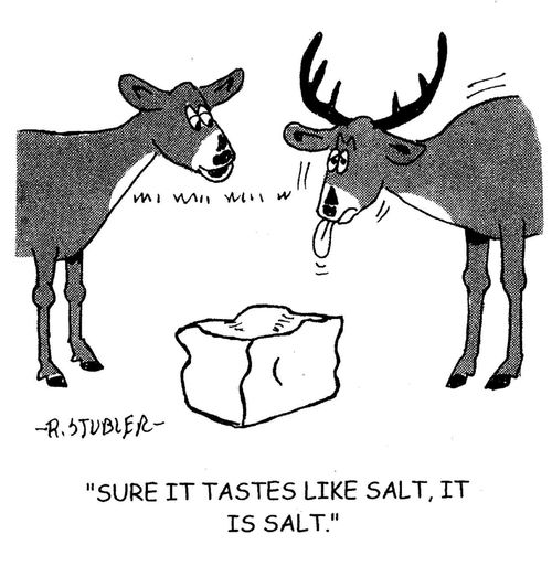 'Sure it tastes like salt,it is salt.'