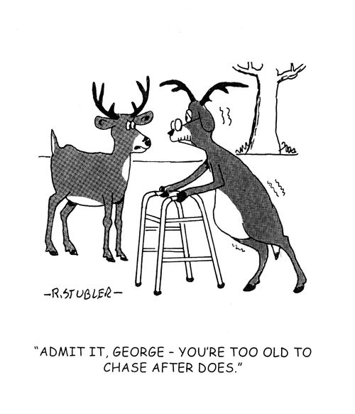 'Admit it, George-you're too old to chase after does.'