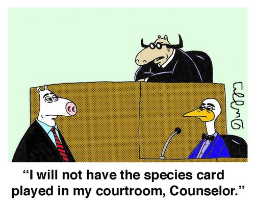 'I will not have the species card played in my courtroom, Counselor.'