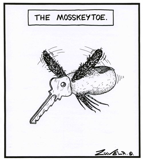 The Mosskeytoe.