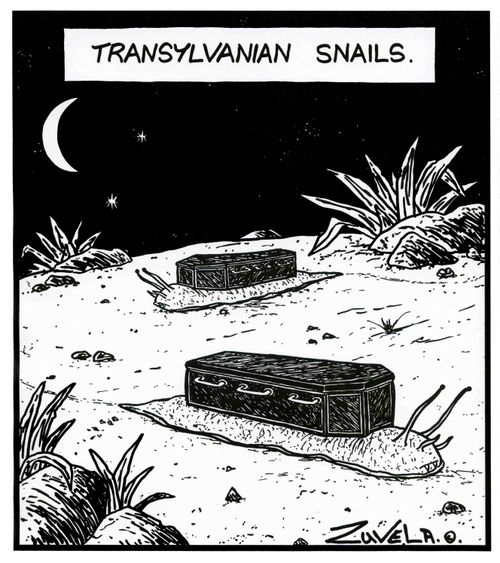 Transylvanian Snails.