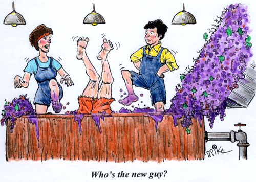 'Who's the new guy?'