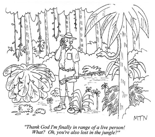 ...Oh, you're also lost in the jungle?