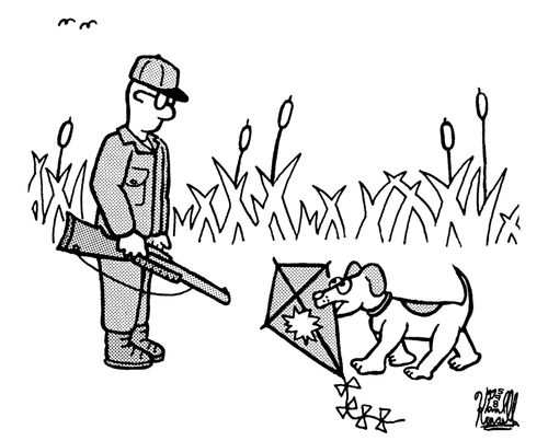 Hunting dog brings back downed kite to hunter.