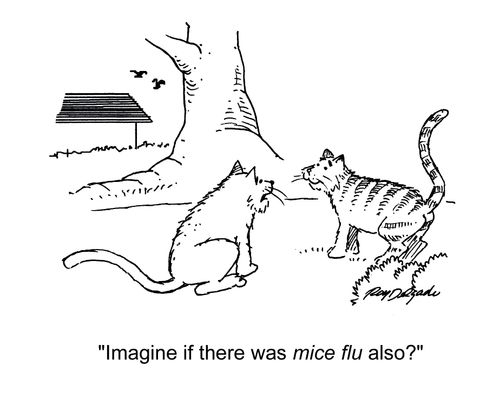 'Imagine if there was mice flu also?'