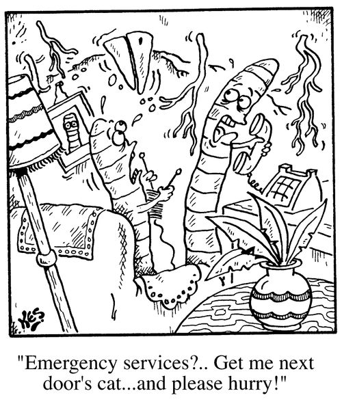 "Emergency Services?...Get me next doors cat, and please hurry!"