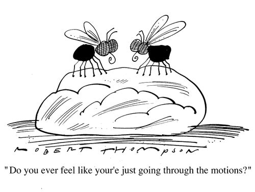 "Do you ever feel like you're just going through the motions?"