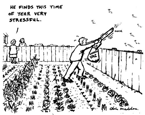 "He finds this time of year very stressful."