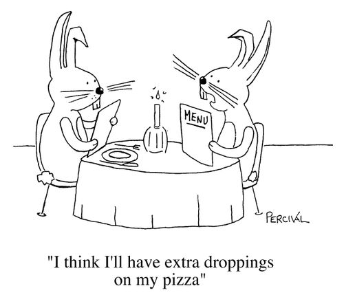 "I think I'll have extra droppings on my pizza"