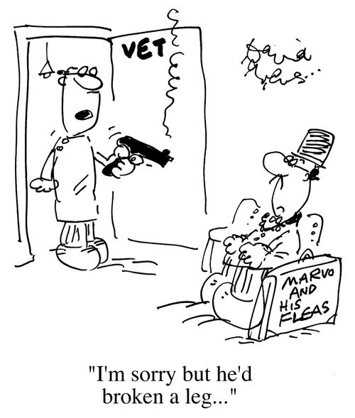 Marvo and his fleas at the vets, Vet with gun "I'm sorry but he's broken a leg".