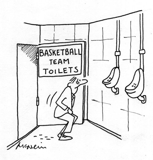 Basketball team toilets.
