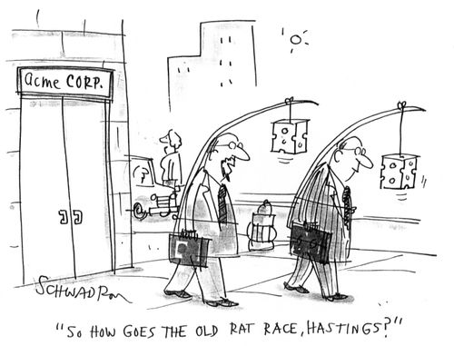 'So how goes the old rat race, Hastings?'