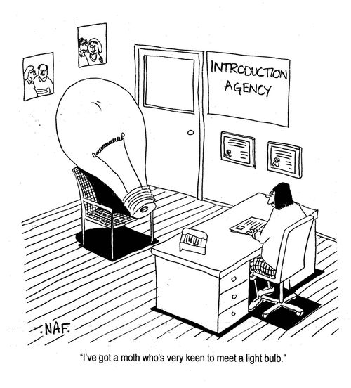 'I've got a moth who's very keen to meet a light bulb.'