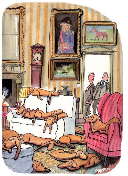 Country mansion full of dogs.
