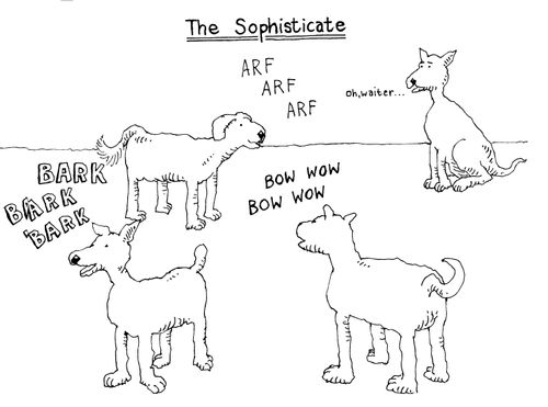 The sophisticate.