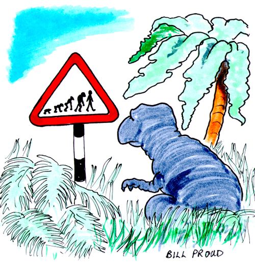 Evolutionary Sign.