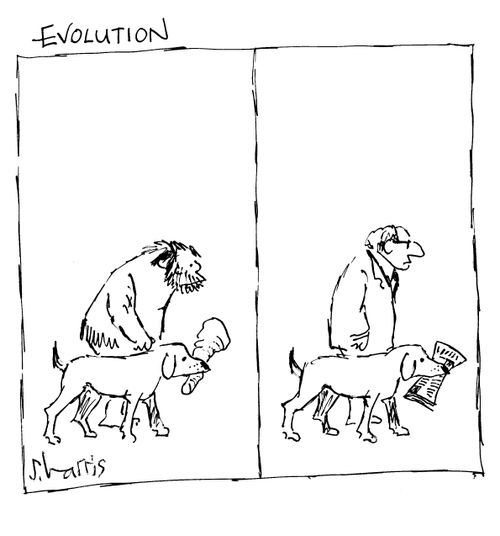 Evolution