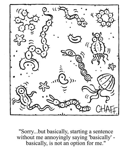'Sorry, but basically, starting a sentence without me annoyingly saying 'basically' - basicaly, is not an option for me.'