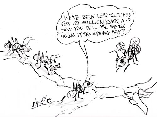 'We've been leaf-cutters for 127 million years, and now you tell me we're doing it the wrong way?'