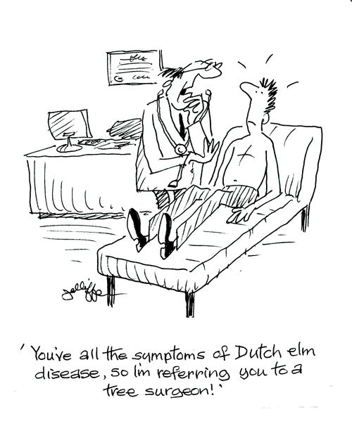 'You've all the symptoms of Dutch elm disease, so I'm referring you to a tree surgeon!'