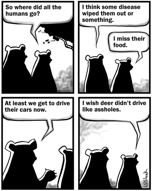 The truth about bears.