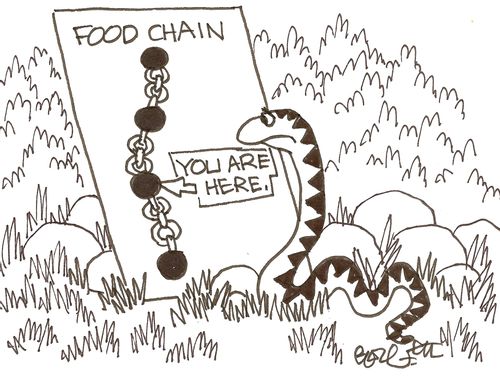 Food chain...You are here.