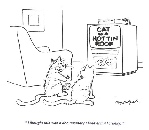 'I thought this was a documentary about animal cruelty.'