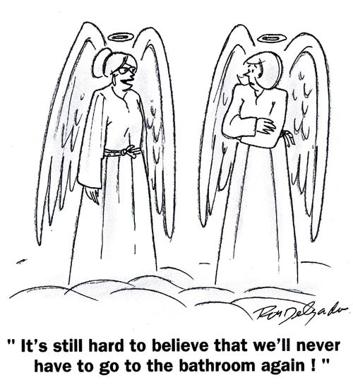 'It's still hard to believe that we'll never have to go to the bathroom again!'