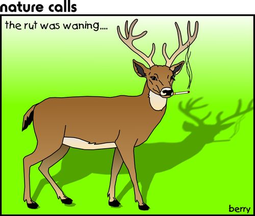 The Rut Was Waning.